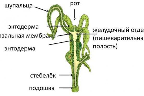 Мега даркнет актуальная ссылка