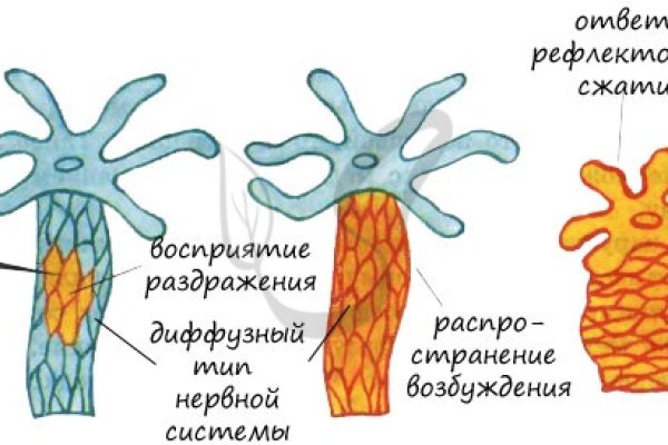 Даркмаркет